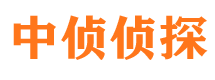 丰宁市调查公司